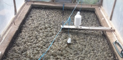 20160728_083136_tank3